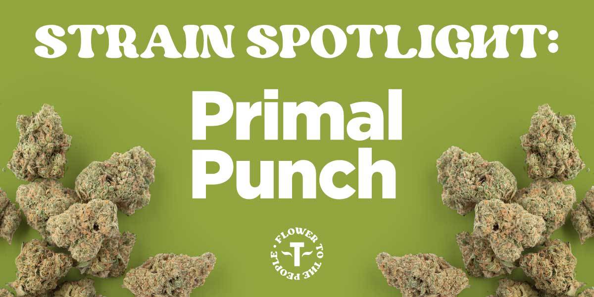 Primal Punch Strain