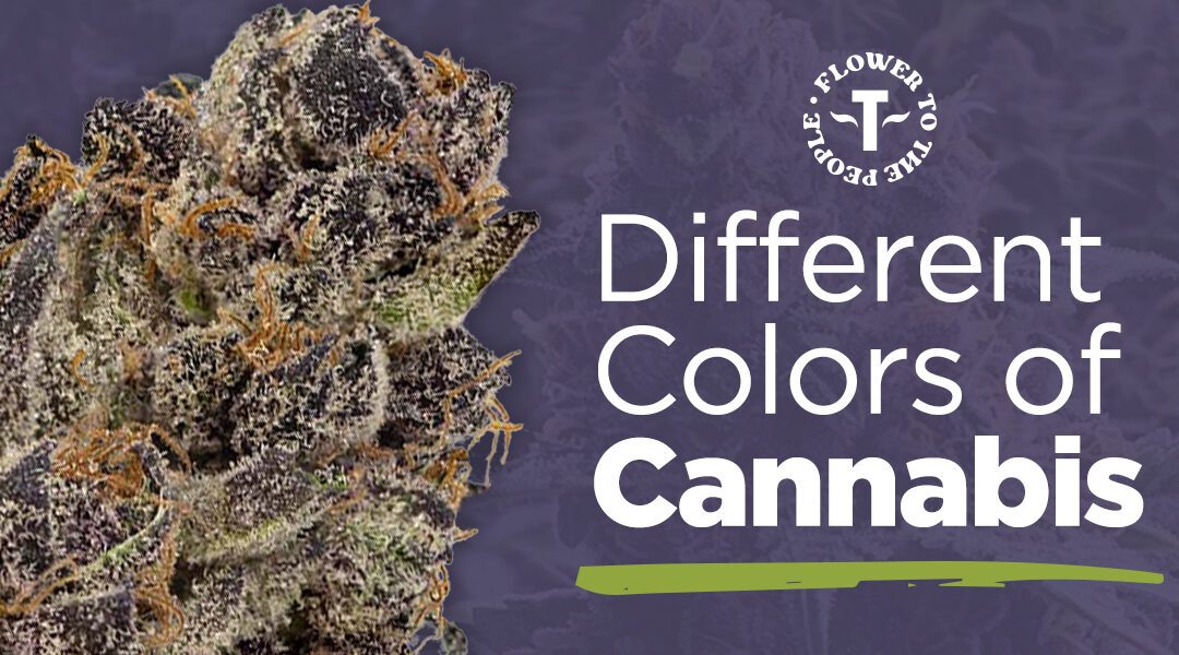 Different Colors of Cannabis