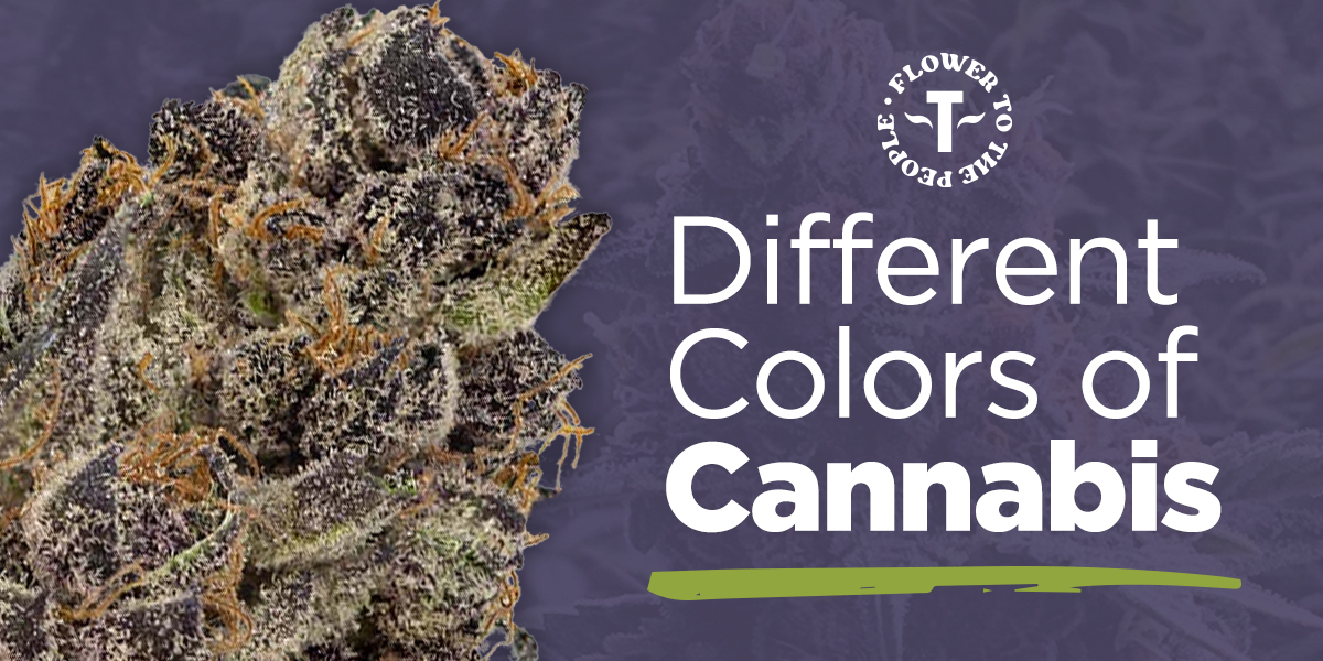 Different Colors of Cannabis