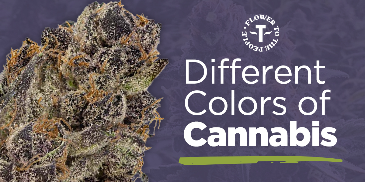 Dark Weed Strains