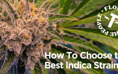 How To Choose the Best Indica Strains