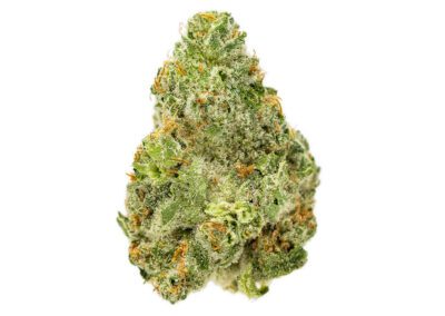 Key Lime Larry