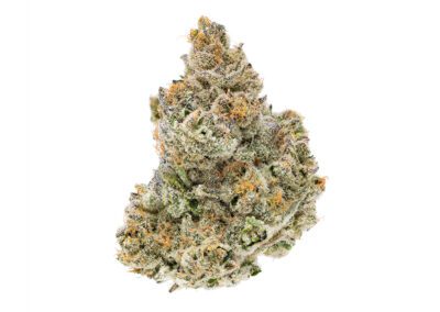 Lemon Tree