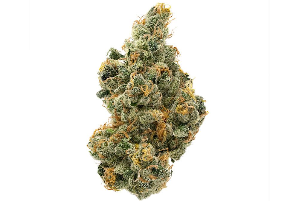 Purple Milk