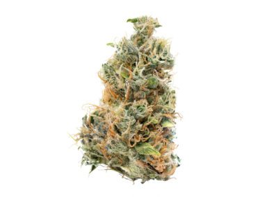 Blue Dream SC cut