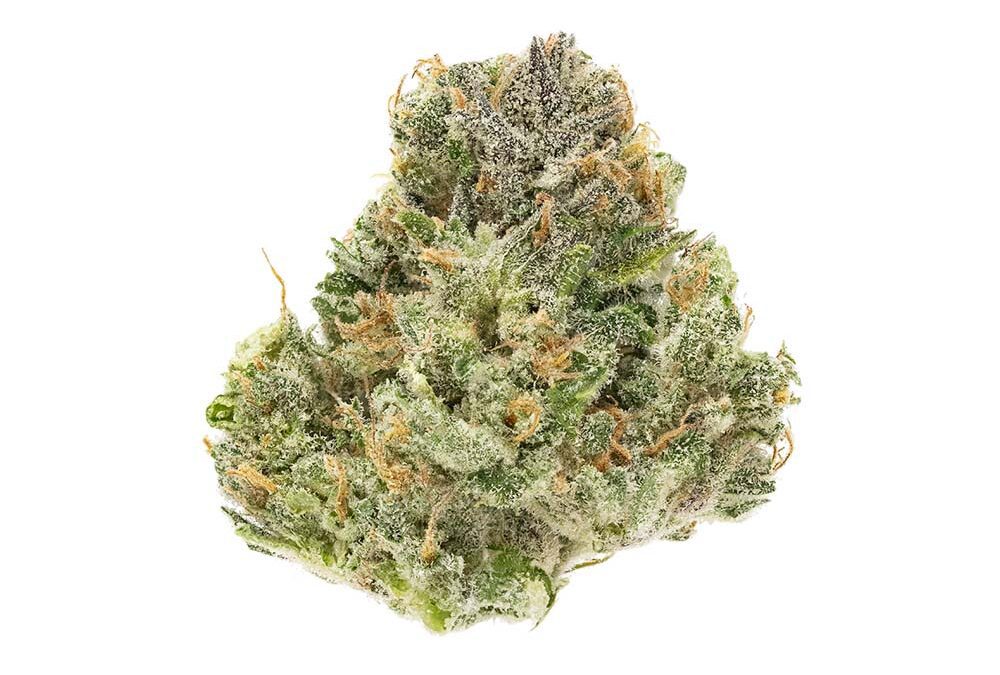 Dark Blue Diesel #5
