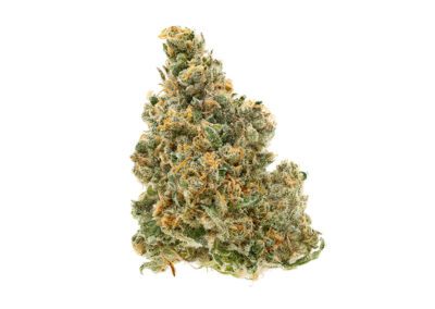 Frosty Bush #4