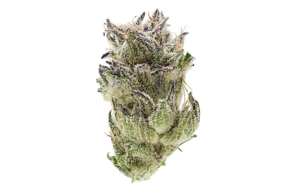G Zone30 #4