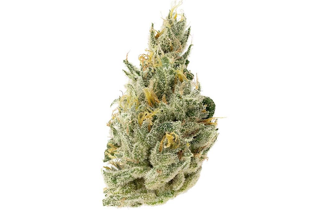 Sour Alien OG