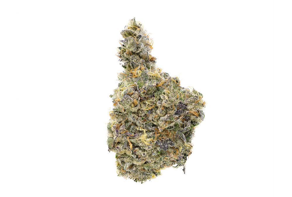 Kush Myntz