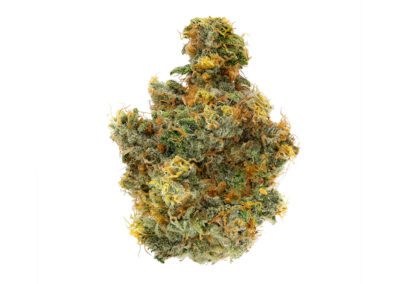 Geulah Papaya #5