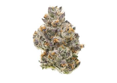 Grease Monkey