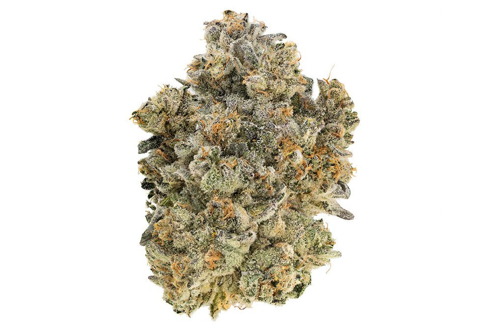 King Louis XIII OG