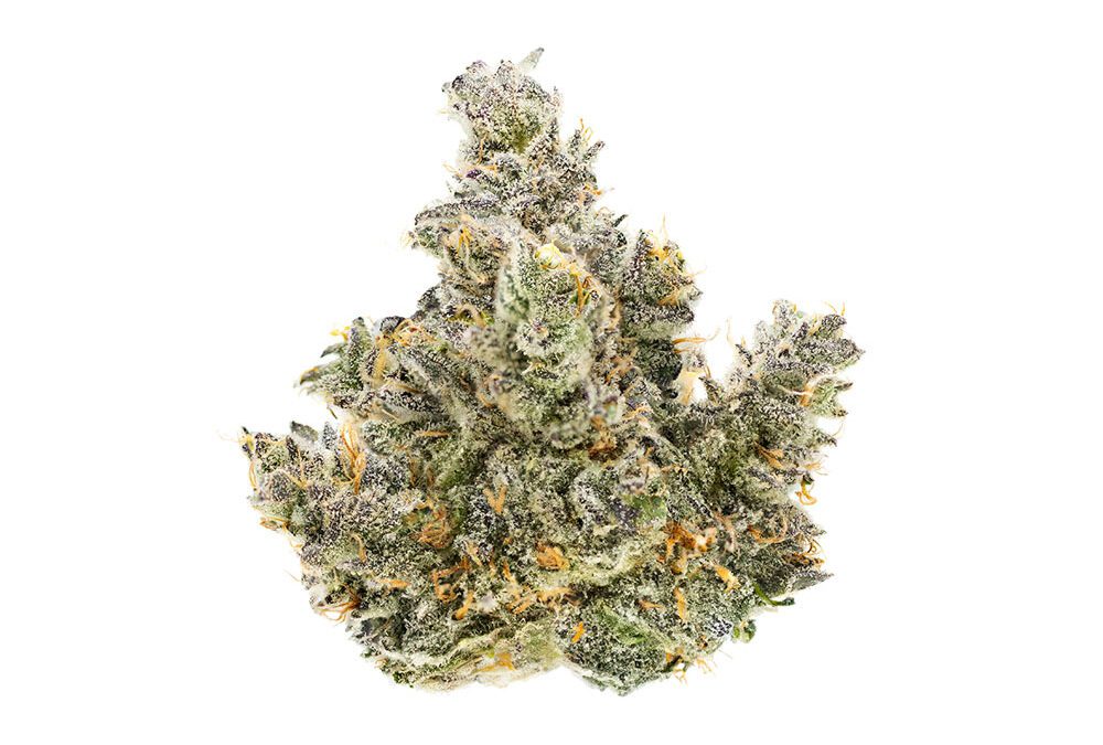 Prism OZ