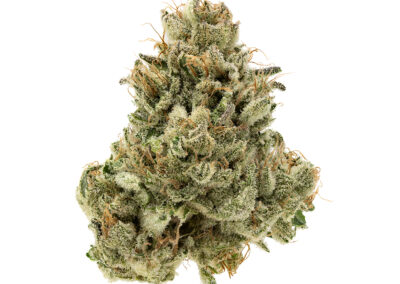 Silver Fire