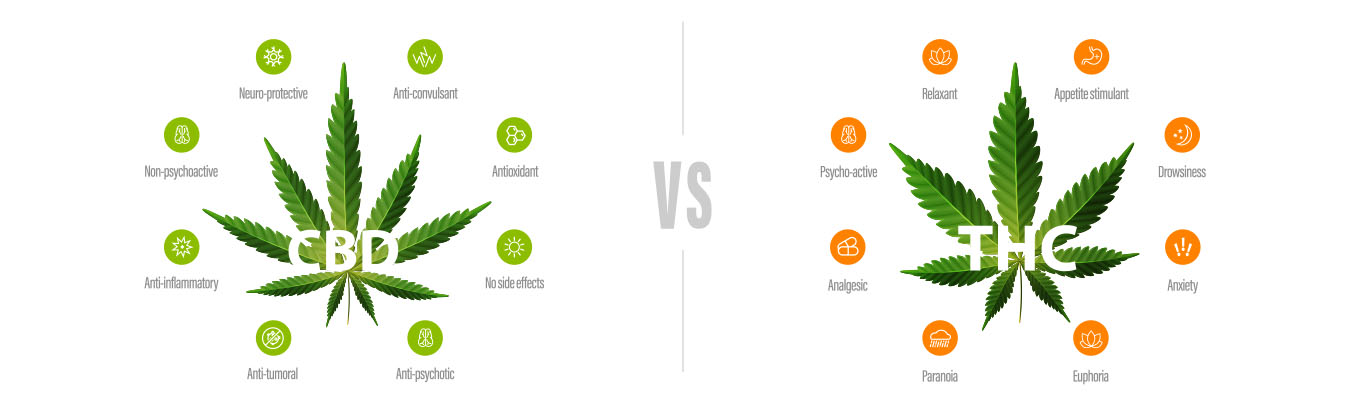 tcs vrs cbd