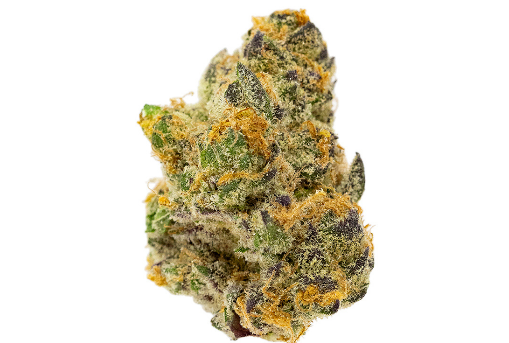 Coffee Klutch #4