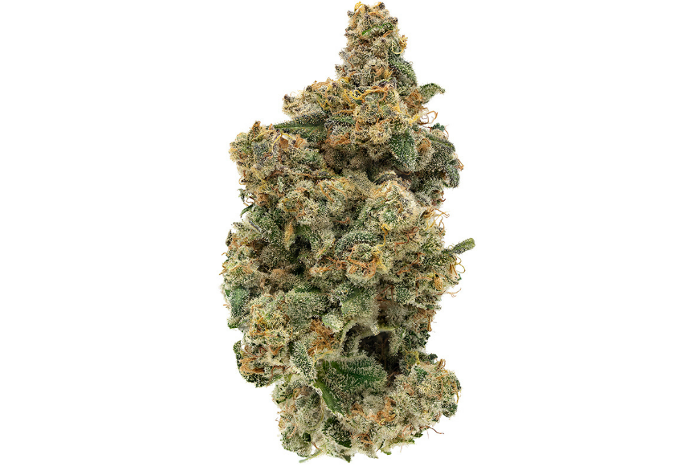 Maui Gelato